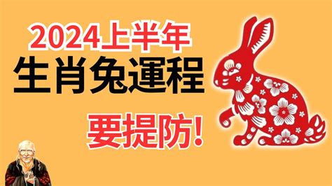 屬兔 2024|2024屬兔幾歲、2024屬兔今年運勢、屬兔幸運色